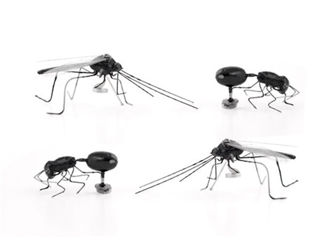 Kylskåpsmagneter Insekter 4-pack