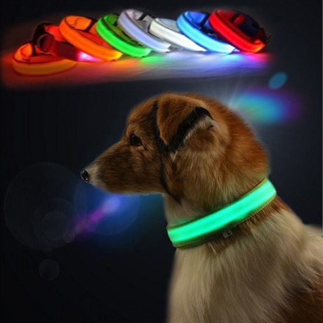 Hundhalsband med LED-belysning, Grön