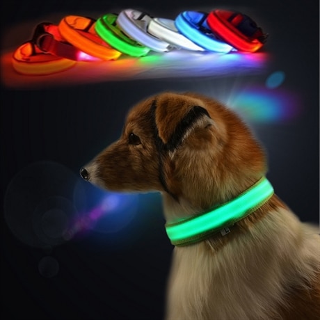 Hundhalsband med LED-belysning, Blå