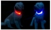 Hundhalsband med LED-belysning, Blå